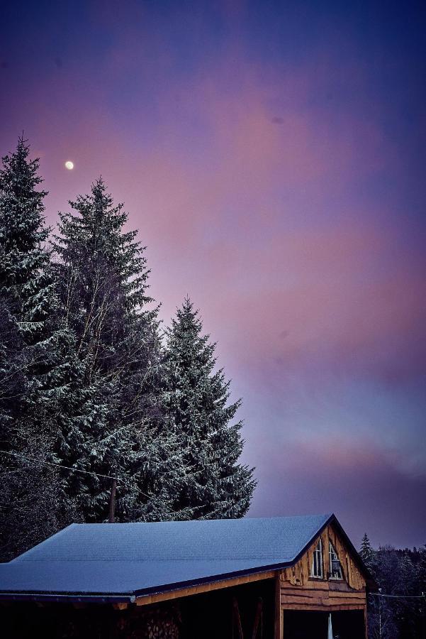 Blickinsfreie - Cabin Villa Schoeneck  Bagian luar foto